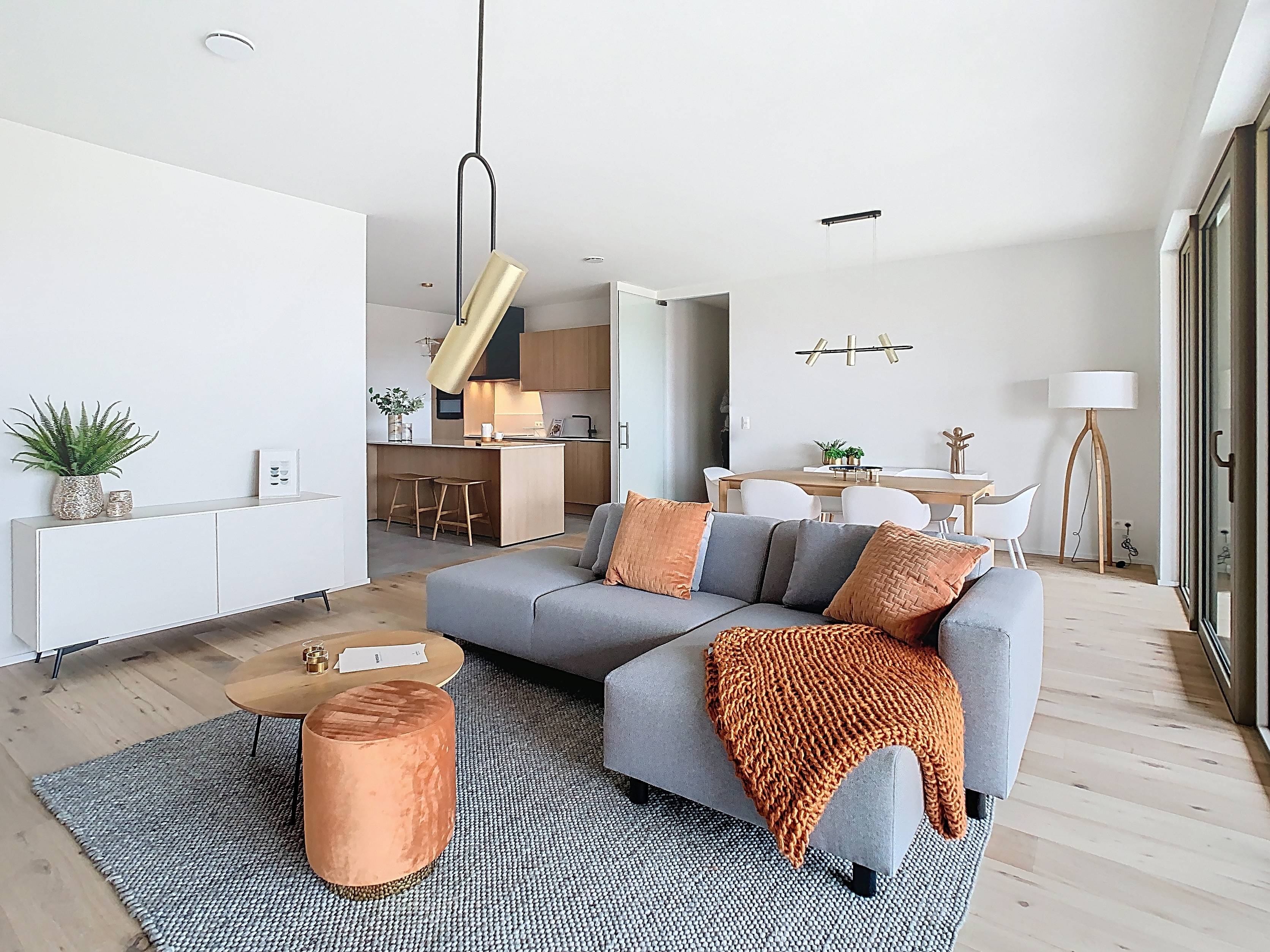 ruime woon- en eetkamer met veel lichtinval, parket en grote raampartijen aan de private daktuin, grenzend aan een ruim terras - afgewerkt kijkappartement 